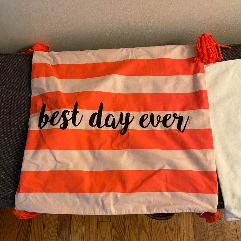 Pottery Barn teen pillow case